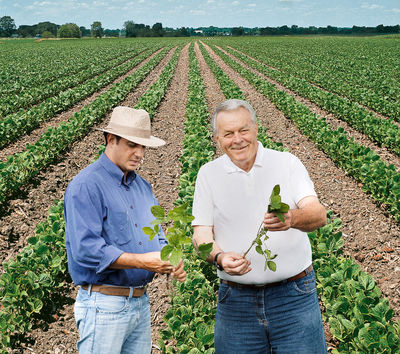 Bayer unterstützt Landwirte im Rahmen des Programms Valore dabei, eine Zertifizierung für ihre verantwortliche Sojabohnen-Produktion zu erhalten.