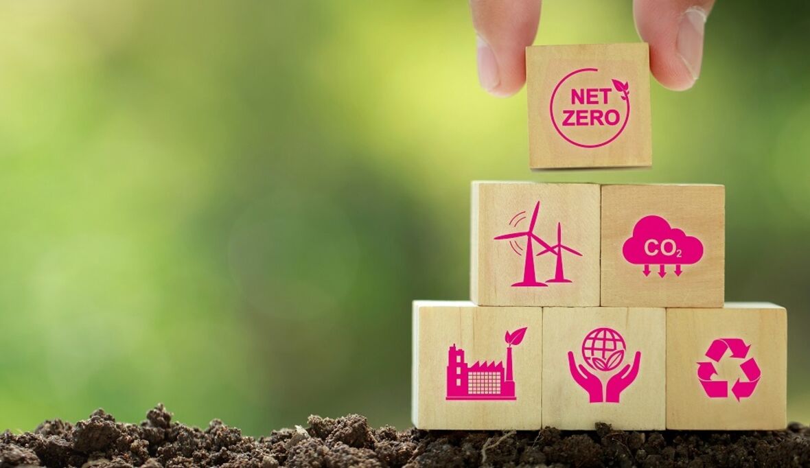 Telekom: Nachhaltigkeitsmanager hilft Unternehmen beim ESG-Bericht