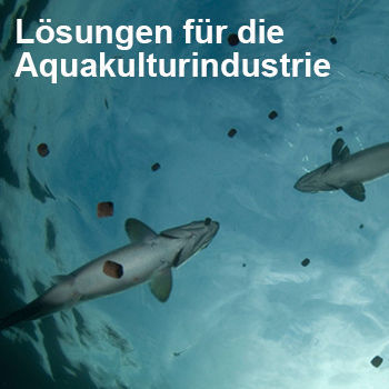 Kachel Lösungen für die Aquakulturindustrie