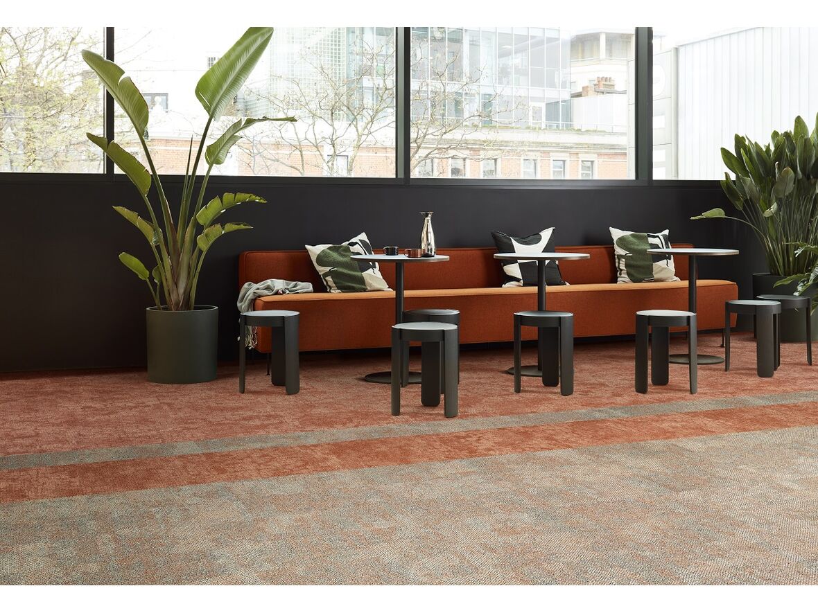 Kollektion Upon Common Ground: Dry Bark – Desert Sands – Escarpment –Desert Sands