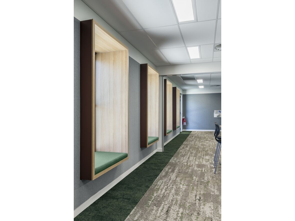 Kollektion Upon Common Ground: Escarpment – Rainforest Canopy – Shallows – Rainforest