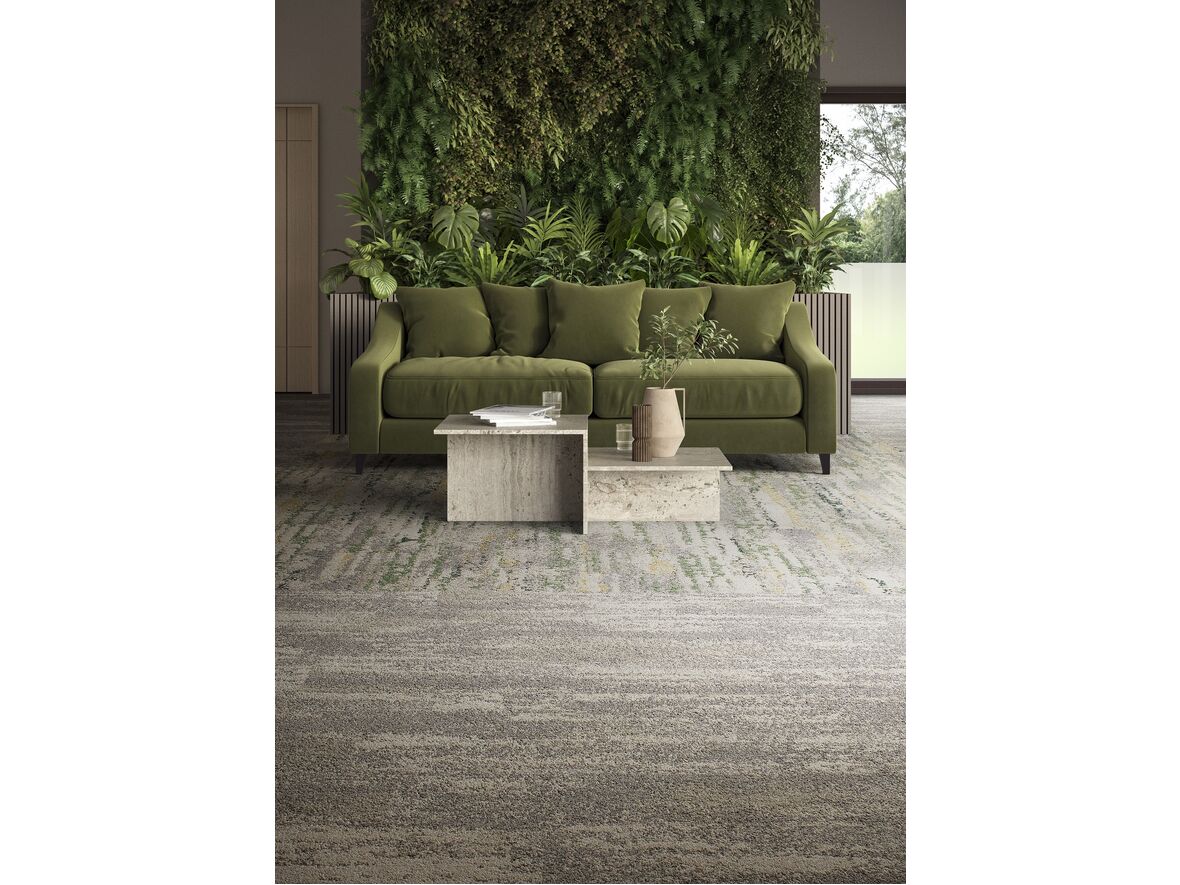 Kollektion Upon Common Ground: Rainforest – Undulating Water – Sandbank – Rainforest