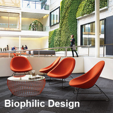 Blickpunkt Interface Biophilic Design
