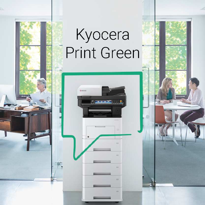Blickpunkt Kacheln Kyocera Print Green
