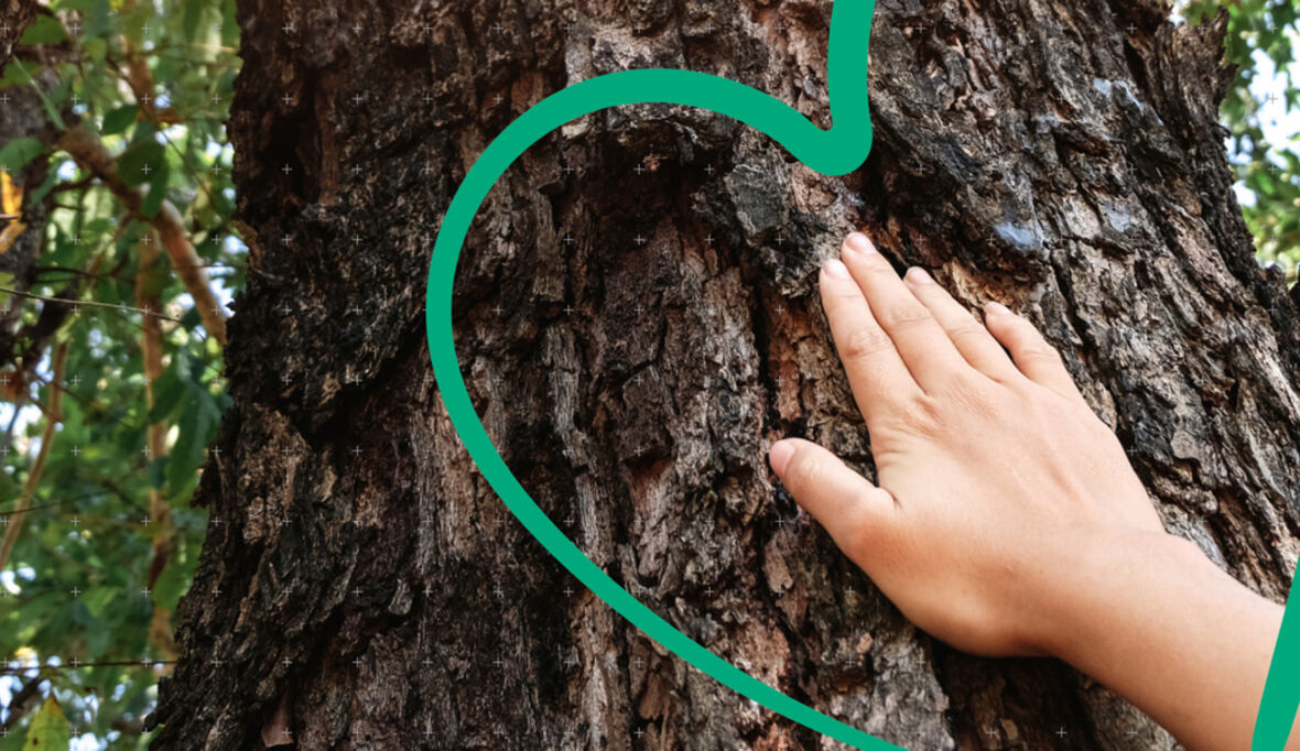 Kyocera und Handel schmieden Klimaallianz