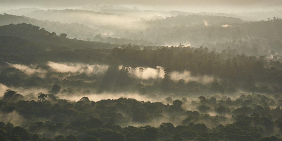 Kyocera: Klimaschutz in Kenia