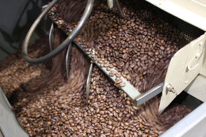 Geröstete Kaffeebohnen kommen aus der Kühleinheit