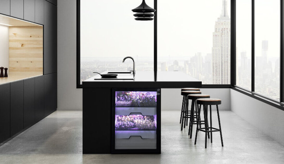 Miele: ein Gewächshaus für die Küche