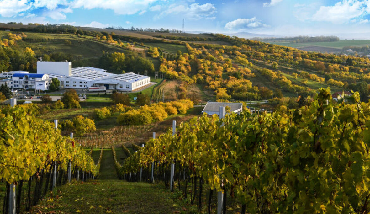 NORMA Group veröffentlicht Nachhaltigkeitsbericht