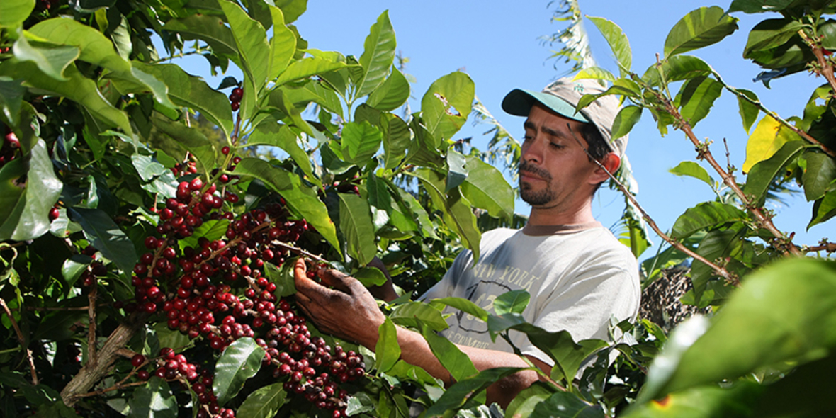 Nespresso investiert in ehemalige Konfliktgebiete Kolumbiens