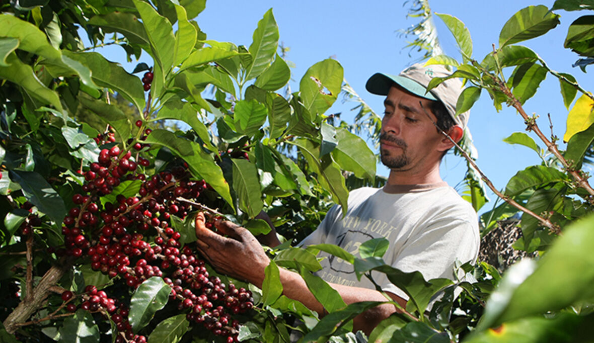 Nespresso investiert in ehemalige Konfliktgebiete Kolumbiens