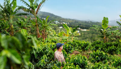 Nespresso unterstützt Wiederaufbau der Kaffeeindustrie in Puerto Rico