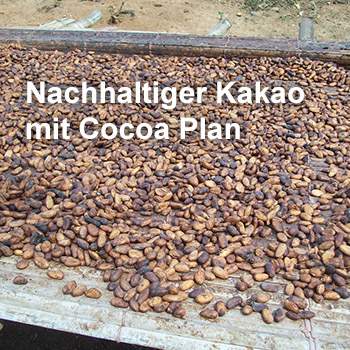 Blickpunkt Nestle Cocoa Plan