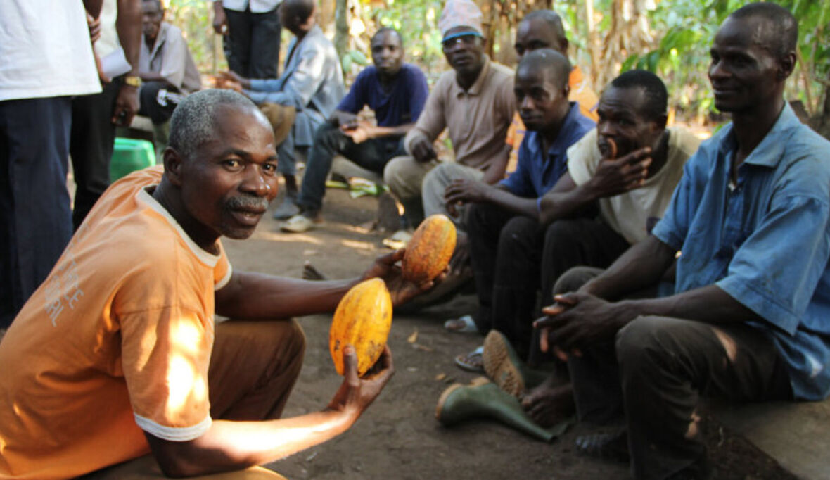 Nestlé meldet Fortschritte im Cocoa Plan