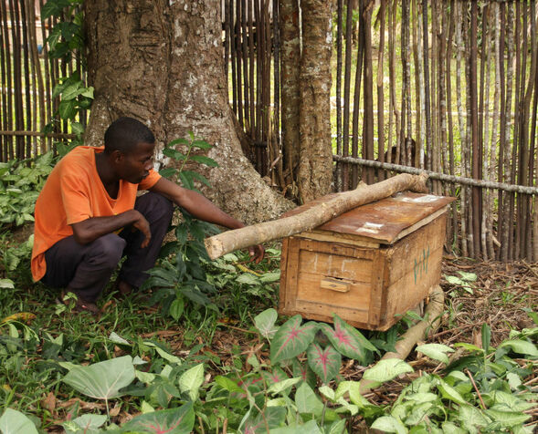 Ein Imker zeigt den selbst gebauten Bienenkasten.