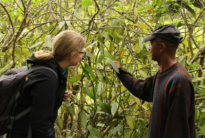 Ein Vanillebauer erklärt einer Besucherin die Bestäubung einer Vanillepflanze.