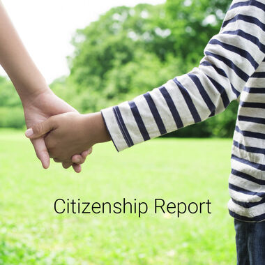 Blickpunkt P&G Kachel 1: Citizenship Report
