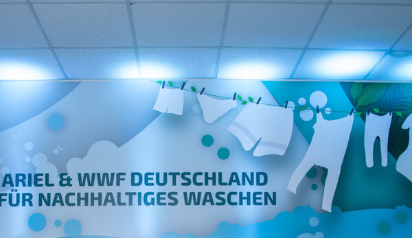 WWF und Ariel eröffnen Deutschlands ersten Kaltwaschsalon in Hamburg