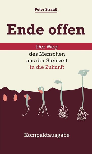 Cover Peter Strauß: Ende offen