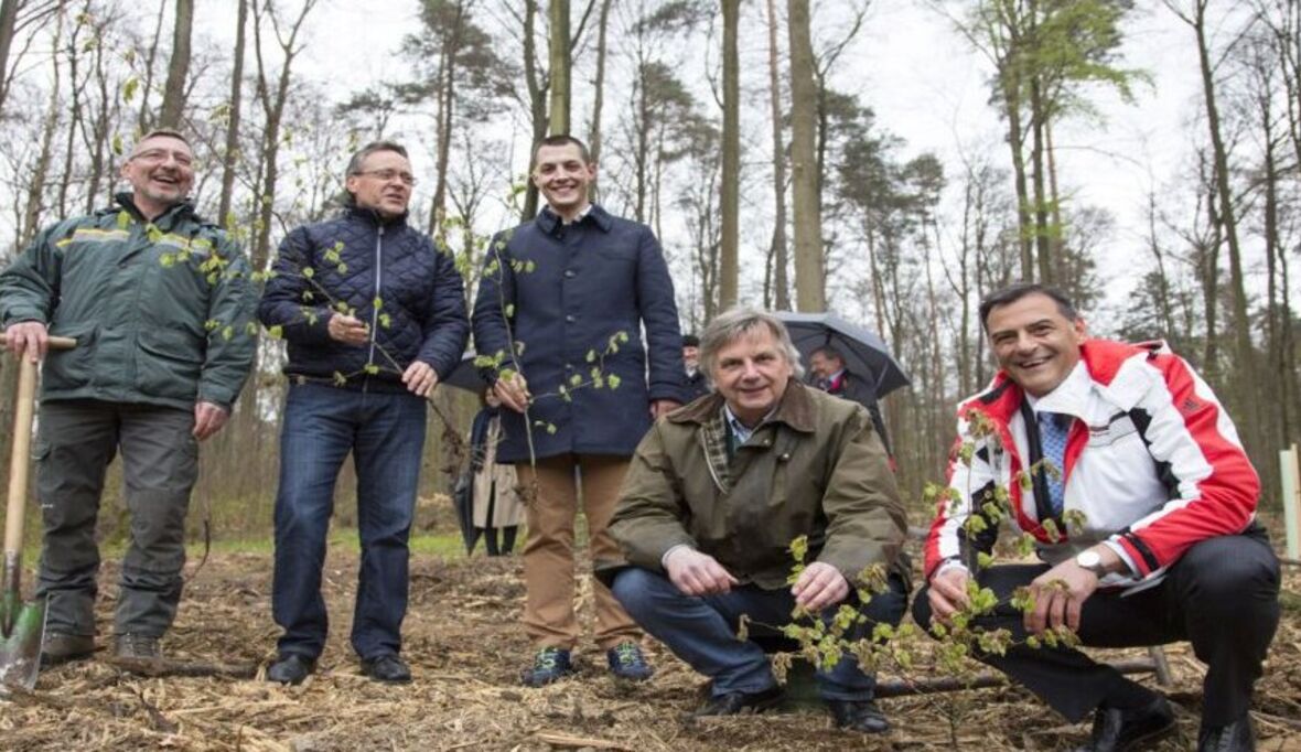 Porsche unterstützt Pflanzaktion: 5.000 junge Laubbäume gesetzt