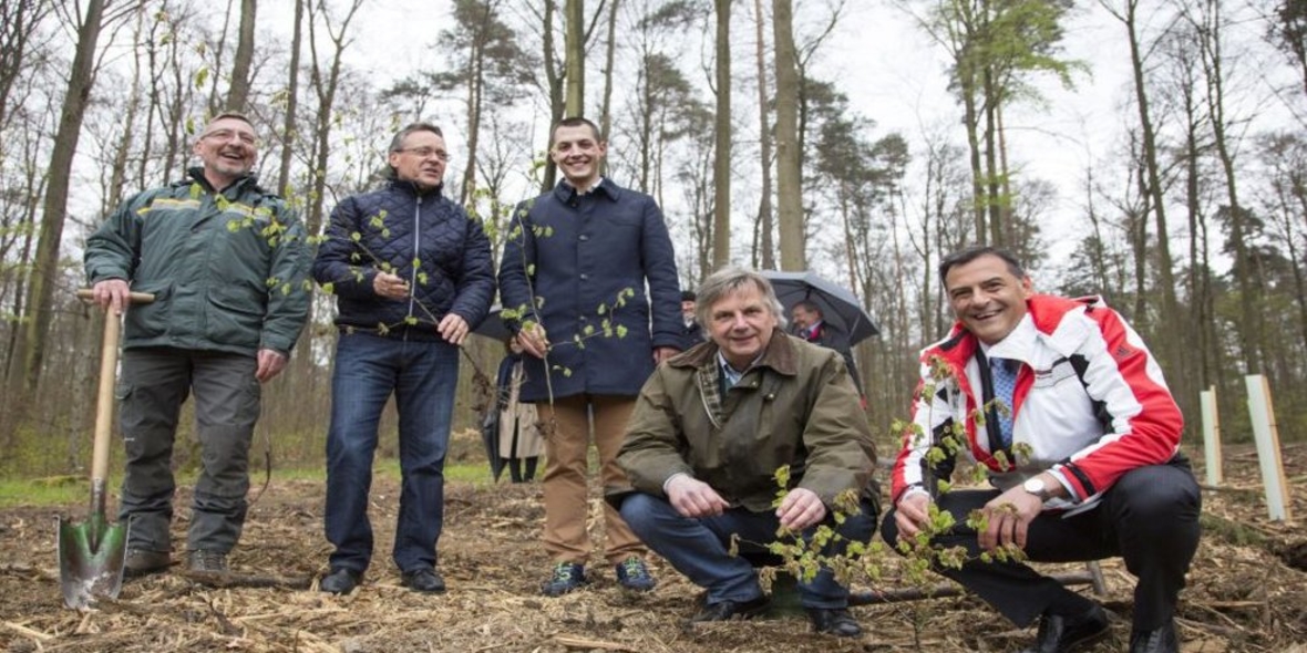 Porsche unterstützt Pflanzaktion: 5.000 junge Laubbäume gesetzt