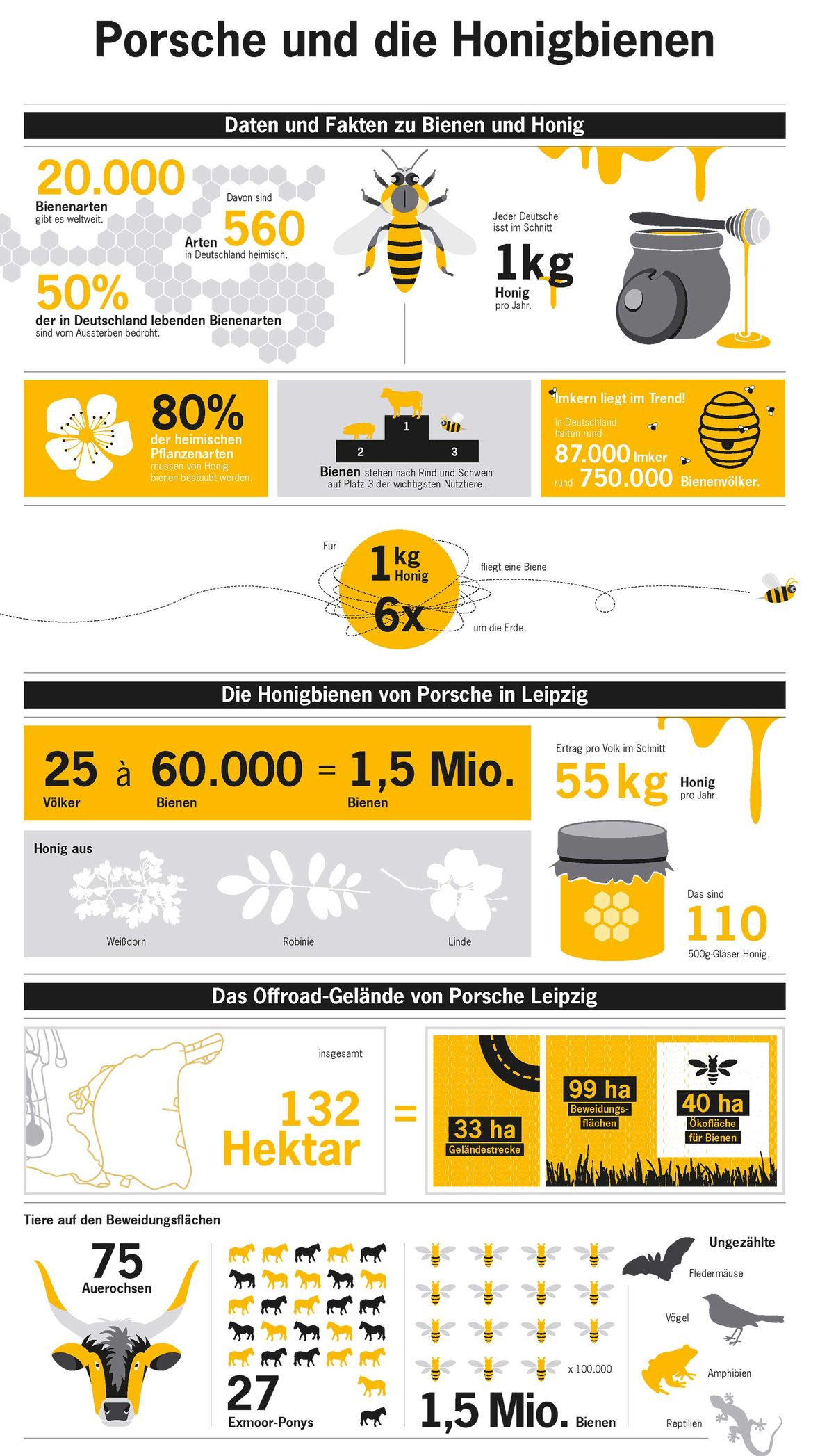 Porsche und die Honigbienen, Infografik 2017.