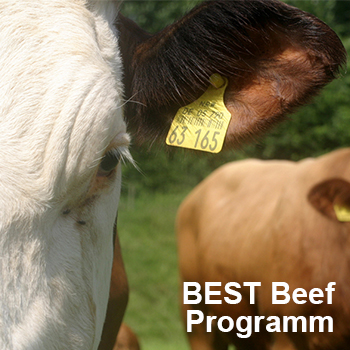 Blickpunkt McDonalds BEST Beef Programm