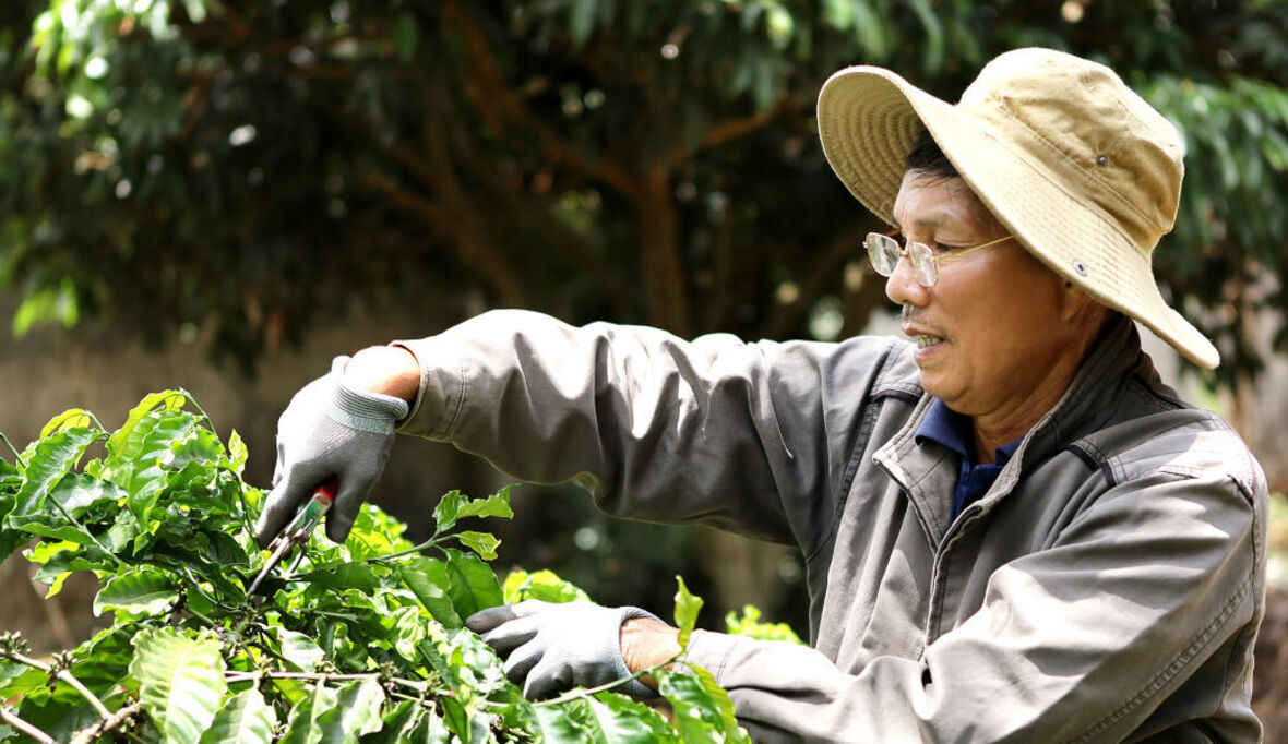 Gibt es morgen noch Kaffee?