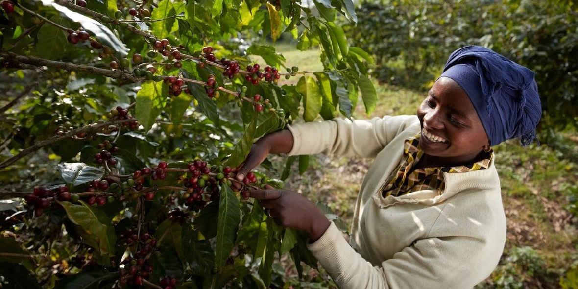 Tchibo erweitert sein Kaffeeprogramm: Kenia wird siebtes Land