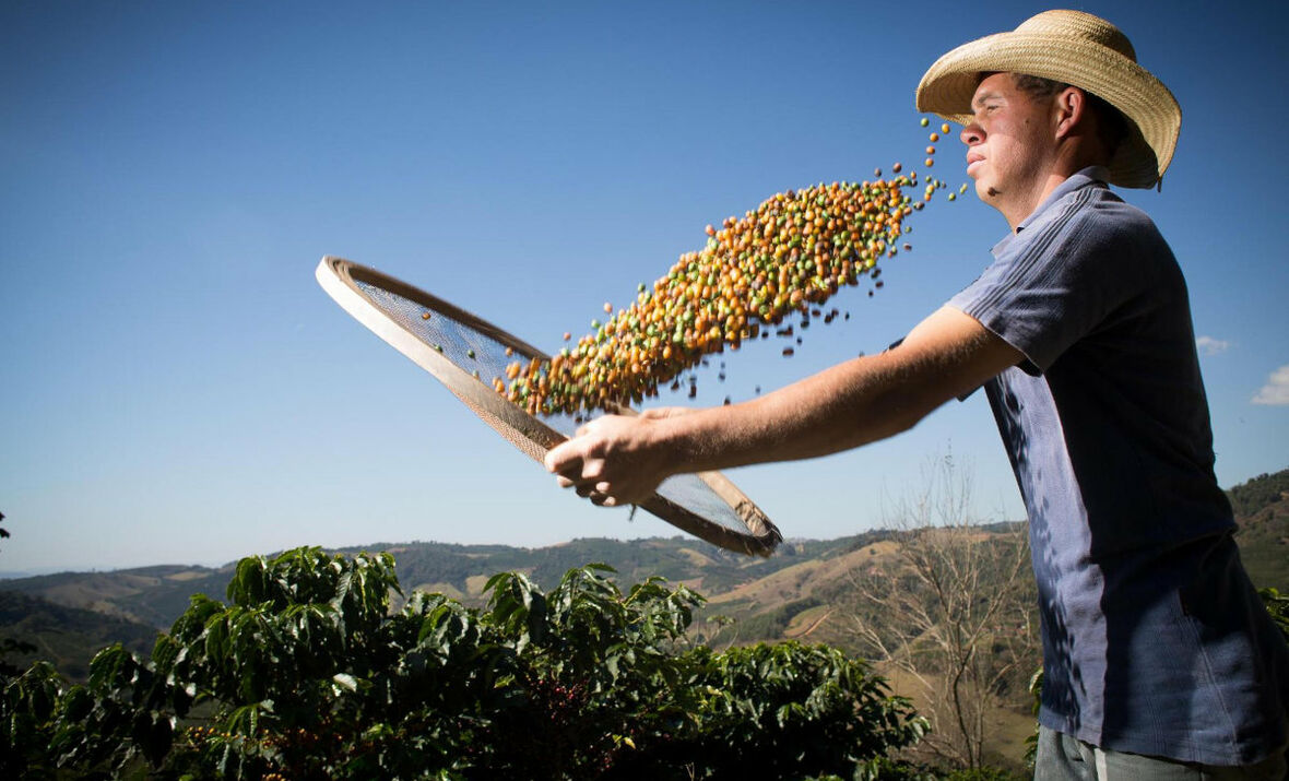 Ein Kaffeefarmer in Brasilien bei der Arbeit
