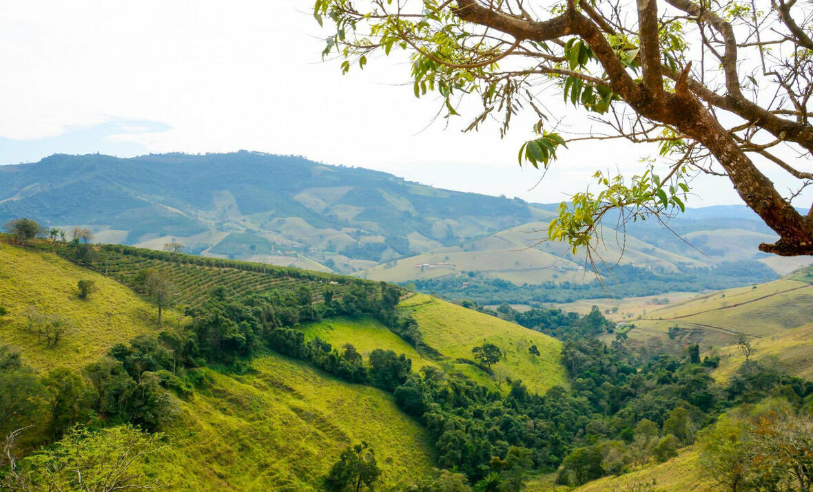 Anbauregion des FOR BLACK ‘N WHITE Kaffees in Brasilien