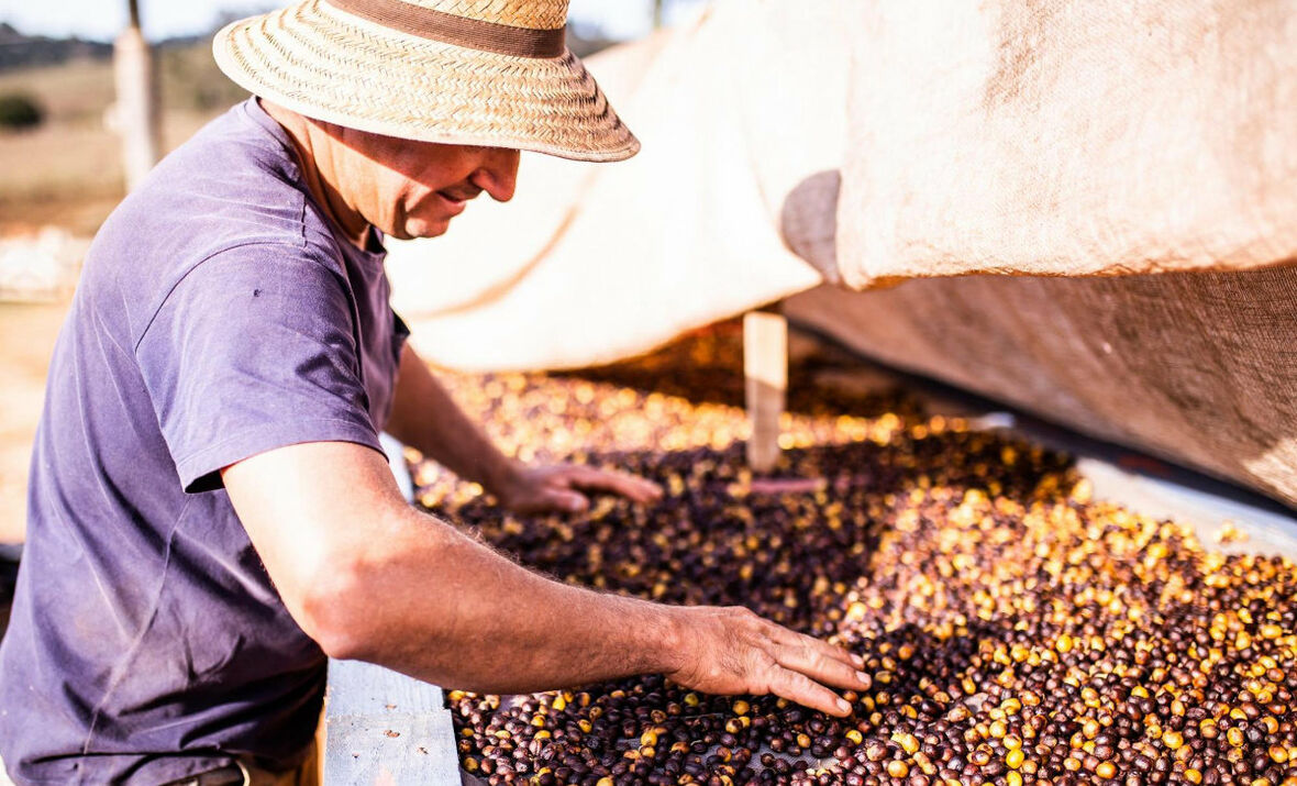 Ein Kaffeefarmer in Brasilien bei der Arbeit