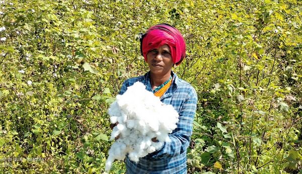 Start der Textilbündnis-Initiative Bio-Baumwolle in Indien