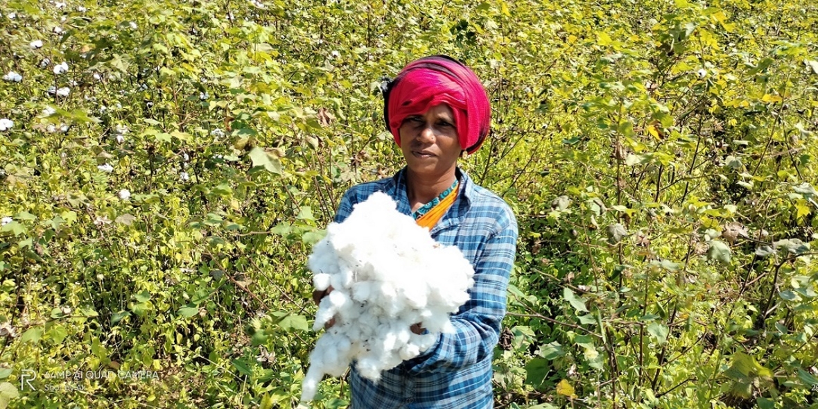 Start der Textilbündnis-Initiative Bio-Baumwolle in Indien