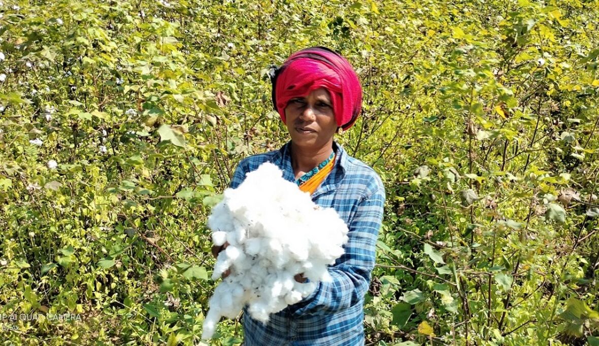 Pilotprojekt für Bio-Baumwolle aus Indien