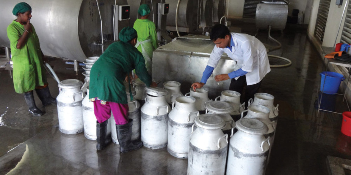 Wie Molkereizentren die Milchwertschöpfung verbessern 