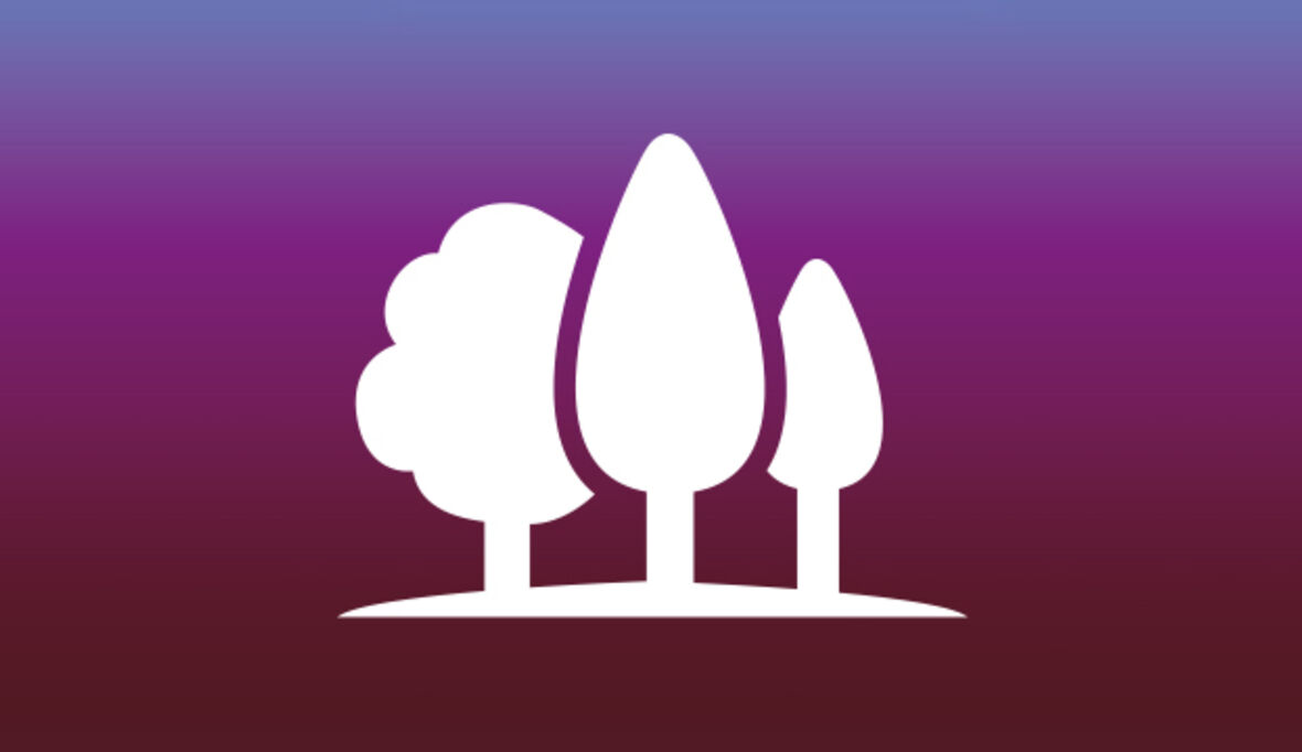 Weshalb zur Umsetzung der EUDR eine Software alleine nicht hinreichend ist