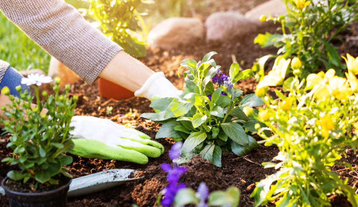 toom: Torfausstieg bis 2025