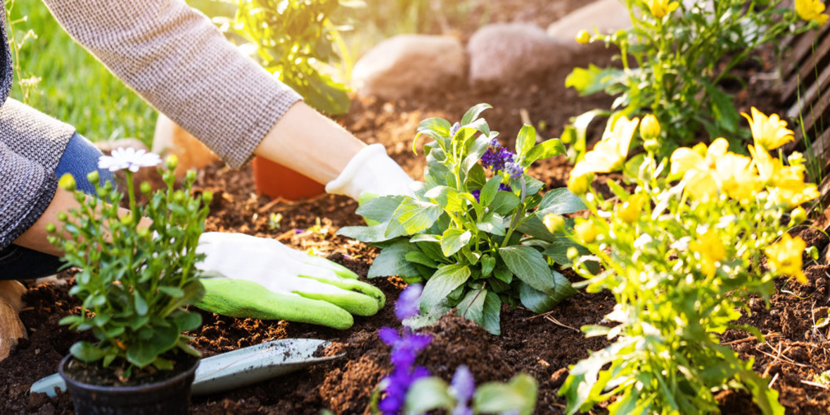 toom: Torfausstieg bis 2025