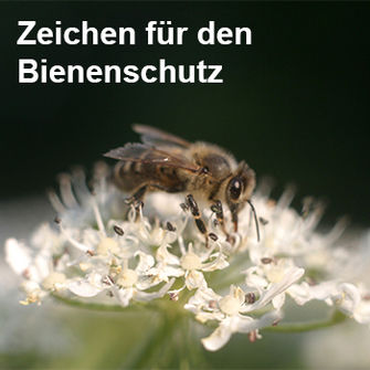 Bienenschutz.