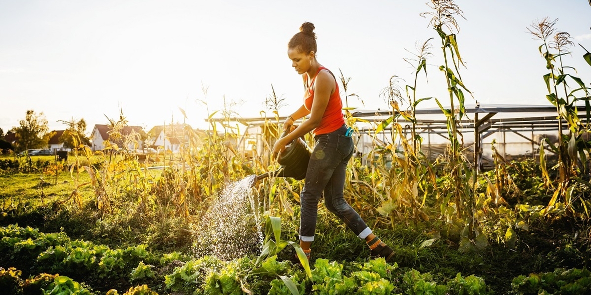Fünf Tipps zum Gärtnern im Klimawandel