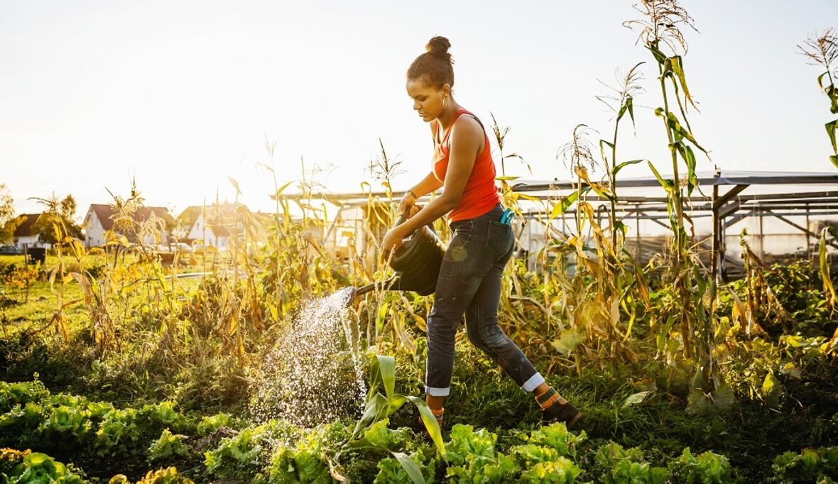Fünf Tipps zum Gärtnern im Klimawandel