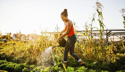 Gärtner haben ein natürliches Interesse an effizientem Wassermanagement
