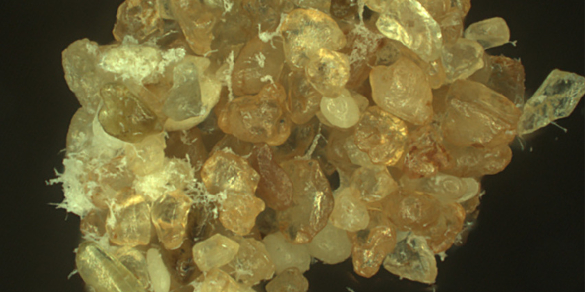 Der lebende Sand: Mit Biopolymeren zu stabileren Böden