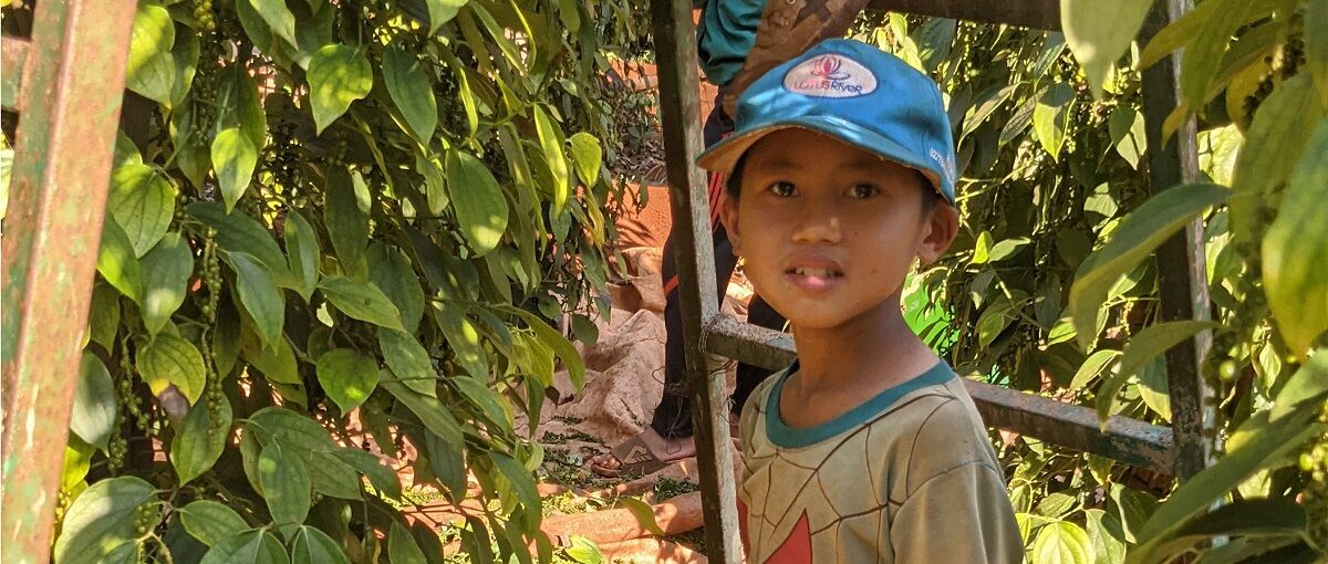 Kinderrechtsverletzungen in globalen Lieferketten, das LkSG – und was jetzt zu tun ist