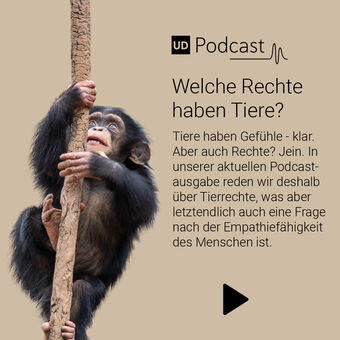 Podcast Sustainability to go Tierrechte