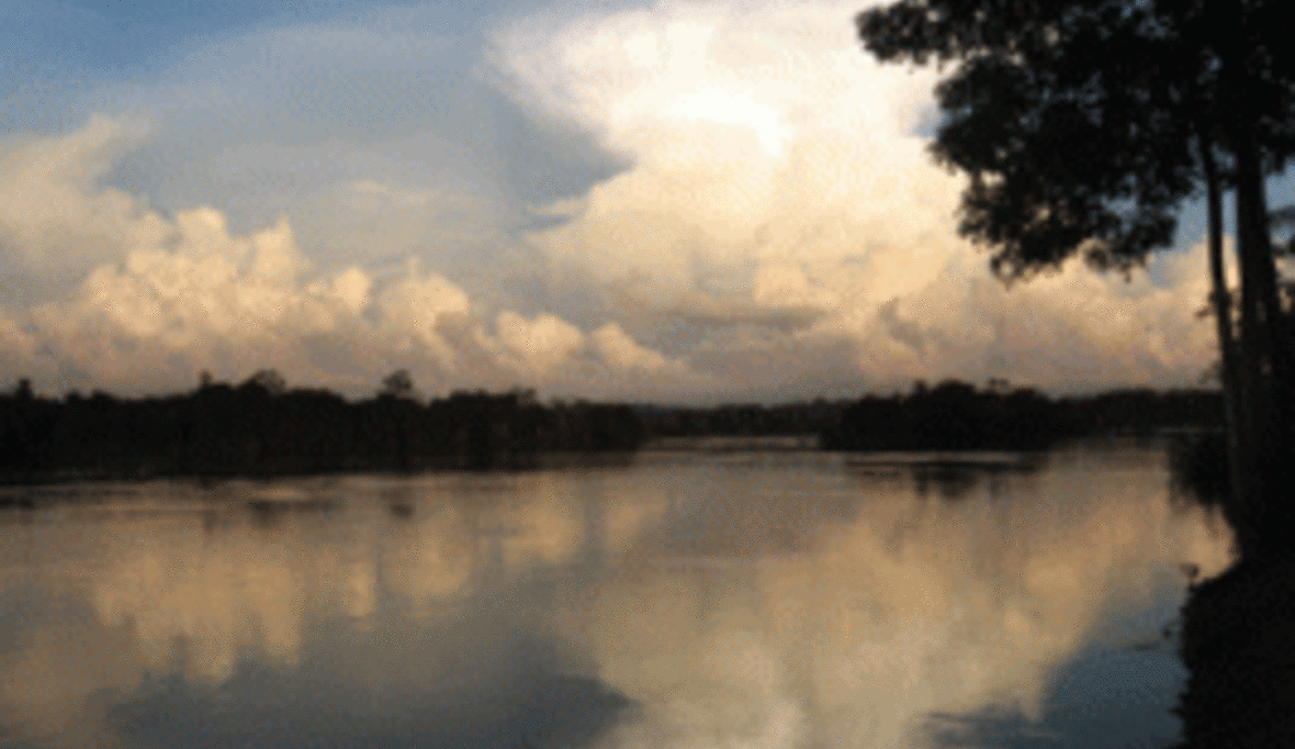 Xingu-Fluss: Rechtsstaat bei Belo Monte bedeutungslos