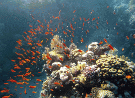 Bild: Andreas Hallerbach/flickr