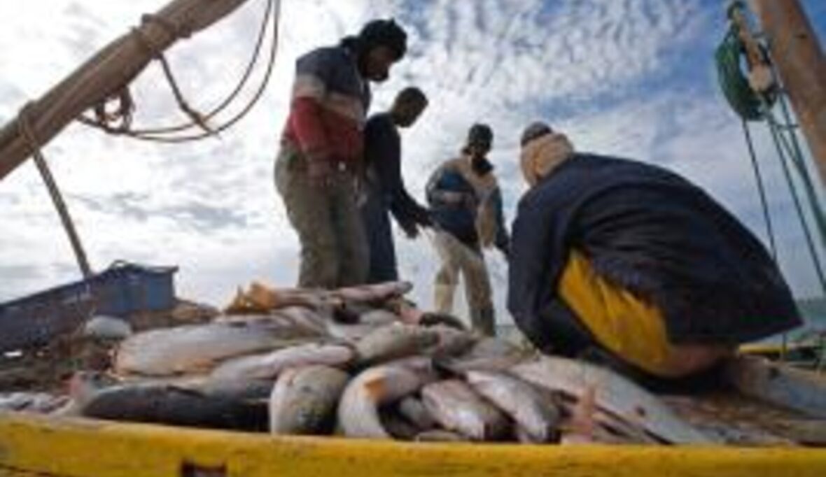 GTZ: Ressourcenmanagement in Mauretanien