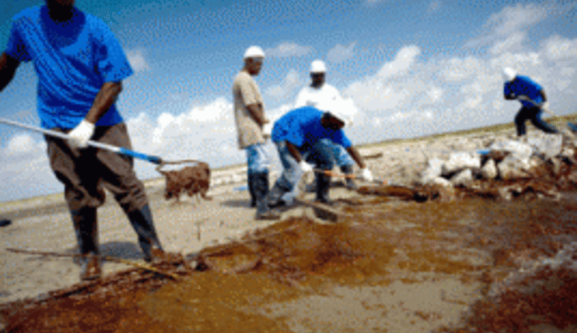 Ölverschmutzung: Größtes Leck nicht gleich größte Katastrophe